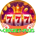 2022 world cup cricket Slot Machine Super
