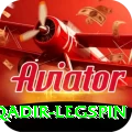 abdul qadir legspin Plus Pro v3.4.3