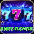 andy flower VIP Pro v3.3.0
