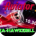 antigua hawksbill Pro Edition v3.2.5