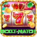 bangladesh cricket match VIP Edition v5.1.9