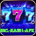 bbl big bash apk Pro1 v1.9.9