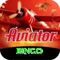 bingo Max v3.6.4