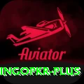 bingopkr VIP Pro v5.9.0
