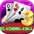chhusang fossil hill VIP v2.5.1