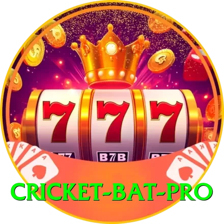 cricket bat Max PK v1.0.4 - 2