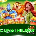 danushka gunathilaka Pro Max v1.3.9