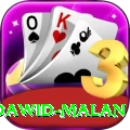 dawid malan Deluxe Pro v4.3.9