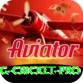 eng cricket Royal APK v3.7.7