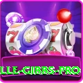 herschelle gibbs Live VIP v2.2.1
