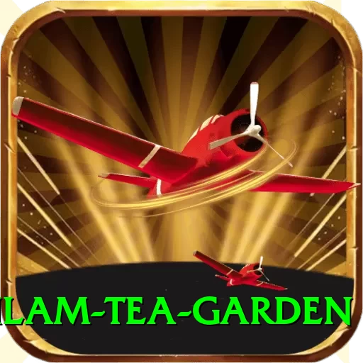 hile ilam tea garden Deluxe v2.8.8 - 2