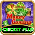 india bangladesh cricket Royal Gaming App