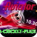 india england cricket Max Gaming App