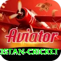 india pakistan cricket Ultimate Pro v2.7.5