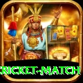 india pakistan cricket match Premium v2.5.0