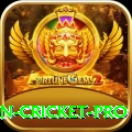 india pakistan cricket - Deluxe v3.2.7
