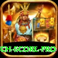 india pakistan match score Game Super v1.6.8