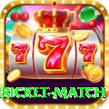 international cricket match Master Pro v1.3.2