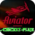 international cricket Master Latest v1.8.7