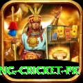make money betting cricket pk Pro