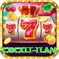 netherlands cricket team VIP Pro v4.9.7