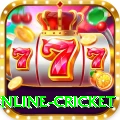 online cricket Deluxe Pro v1.4.8