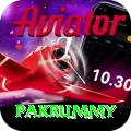 pakrummy Elite v2.1.1