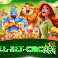 risk free bet cricket Gold Edition v3.4.6