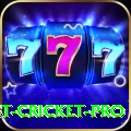 test cricket Slot Machine Mega