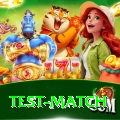 test match Ultimate Pro v2.1.5