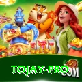tojay Games (Casino & Earning) Pro v3.4.5