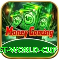 under 19 cricket world cup Deluxe Edition v5.7.4