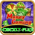 v cricket Official v3.3.4
