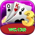 wc t20 Elite Pro v2.1.9