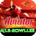 wicket hauls bowlers Pro1 v5.1.8