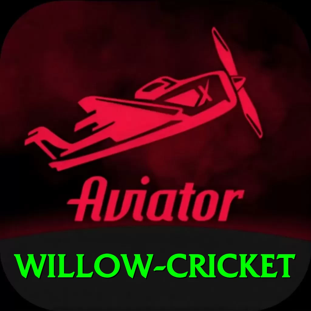 willow cricket Premium Plus v2.6.6 - 2