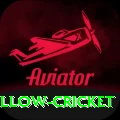 willow cricket Premium Plus v2.6.6