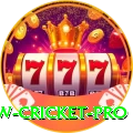 willow cricket Pakistan Elite v5.7.7