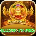 willow tv Casino Official v2.7.7